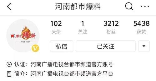 河南都市爆料头条视频,揭秘某地神秘事件，真相令人震惊！  第2张