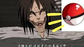 晓蛇爆料视频大全集,揭秘视频大全集精彩瞬间  第3张 晓蛇爆料视频大全集,揭秘视频大全集精彩瞬间  第3张