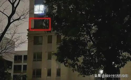 张江街头爆料案件最新,警方全力追查真相  第3张