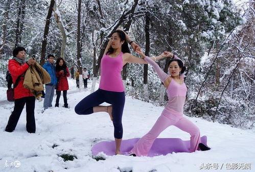雪娥瑜伽爆料视频,揭秘瑜伽界的神秘面纱